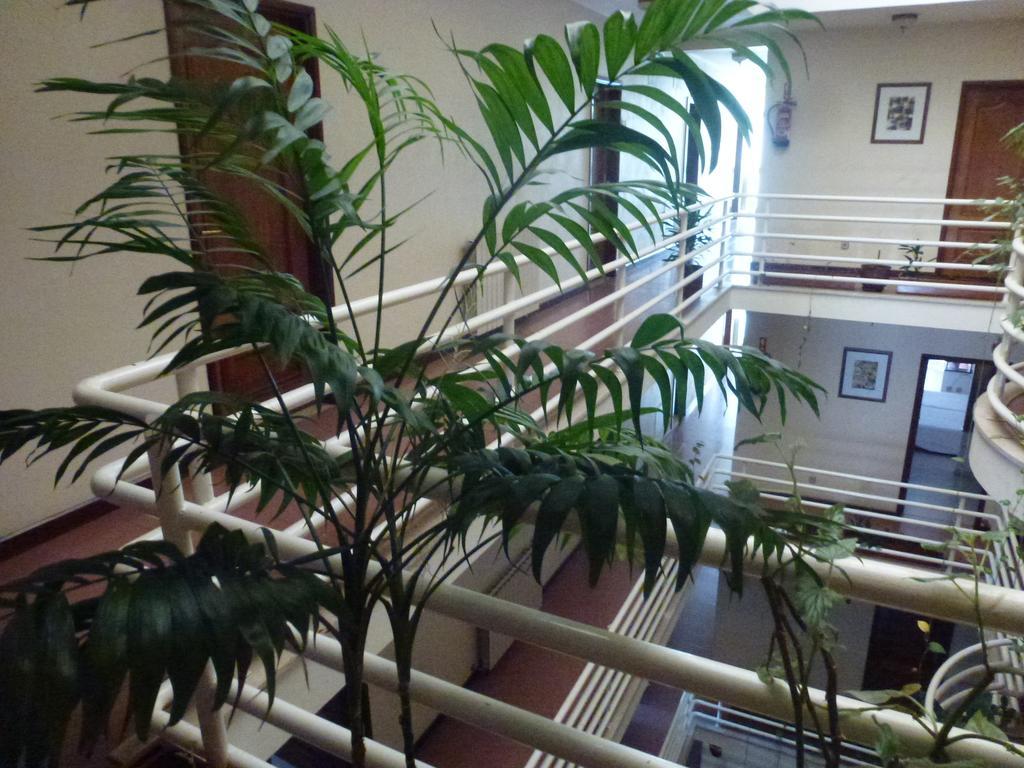Pantanha Nature & Fitness Caldas da Felgueira
